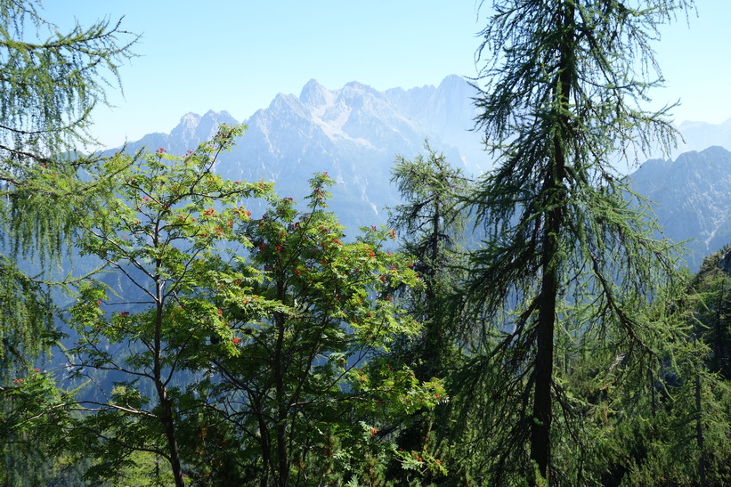 Längs sträckan mellan Vitranc och Ciprnik. Vandringen från Kranjska Gora upp till Ciprnik.