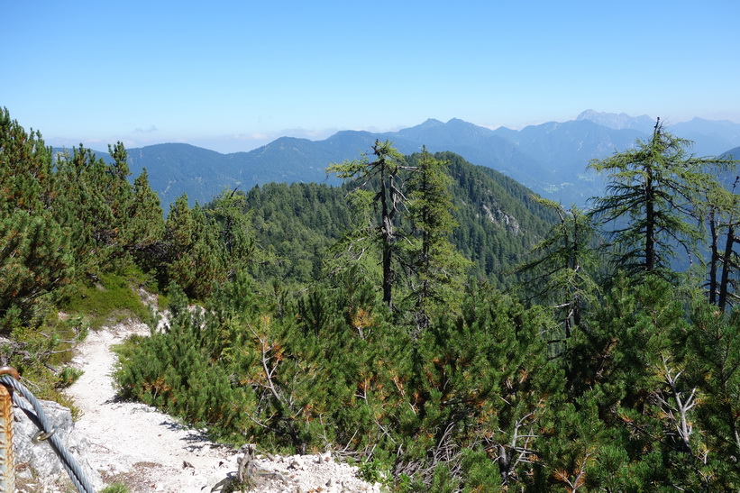 Längs sträckan mellan Vitranc och Ciprnik. Vandringen från Kranjska Gora upp till Ciprnik.