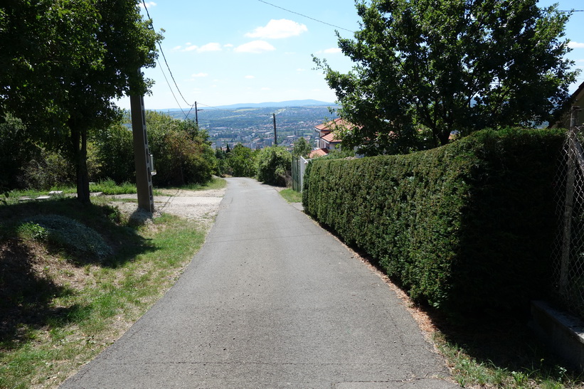 Promenaden ner till staden från Pécs TV-torn.