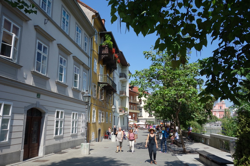 Promenaden vid floden Ljubljanica i centrala Ljubljana.
