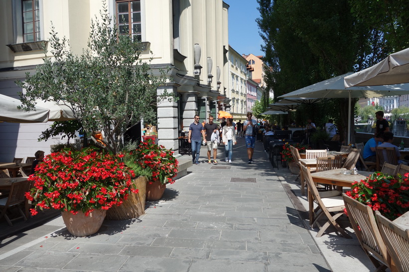 Promenaden vid floden Ljubljanica i centrala Ljubljana.