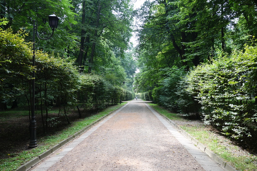 Strysky park, Lviv