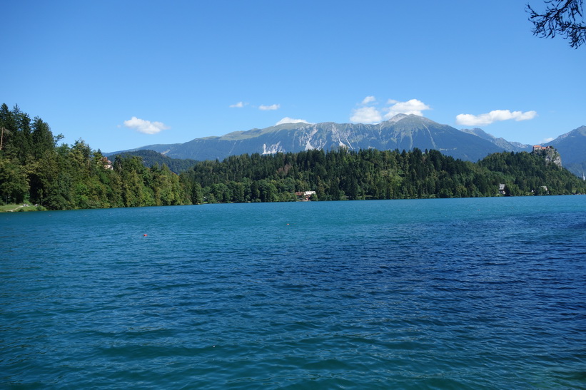 Lake Bled med Bled castle i bakgrunden.