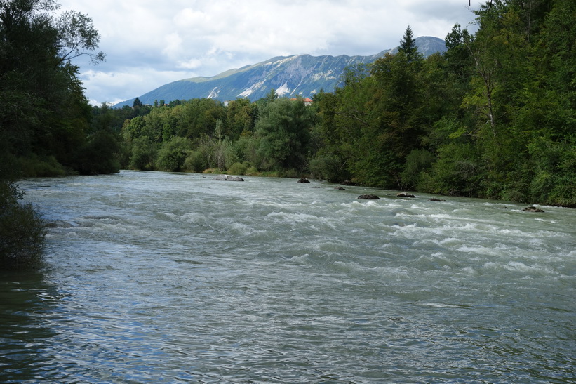 Sava-floden, Radovlica.