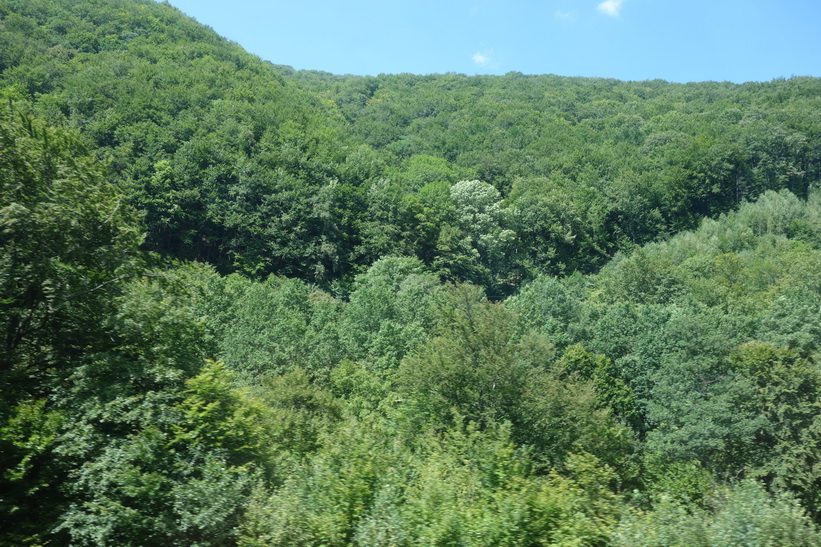 Det vackra landskapet i de ukrainska Karpaterna. Tågresan mellan Lviv och Uzhhorod.