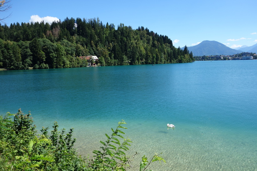 Del av Lake Bled, Bled.