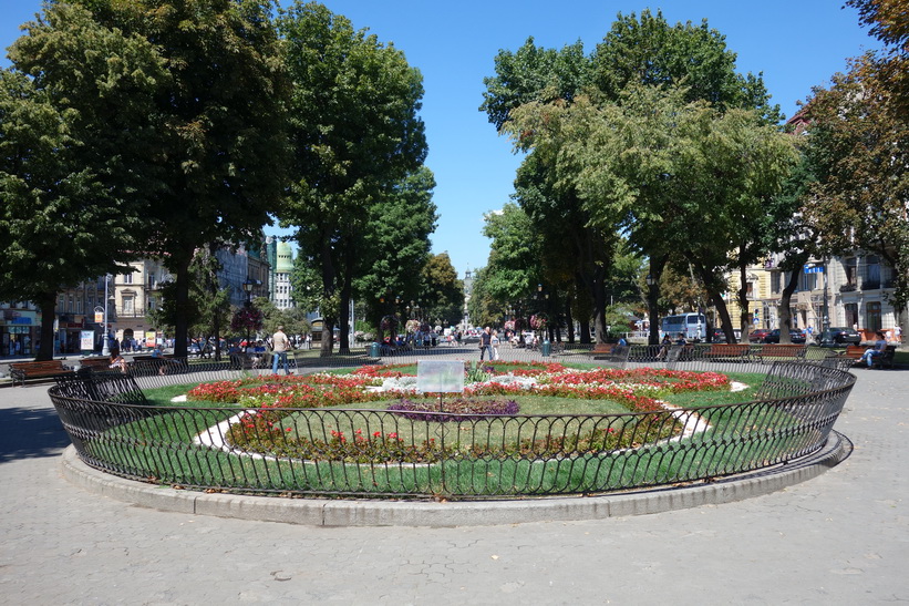 Mitskevycha Square, gamla staden i Lviv.