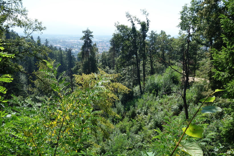 Park Tivoli, Ljubljana.