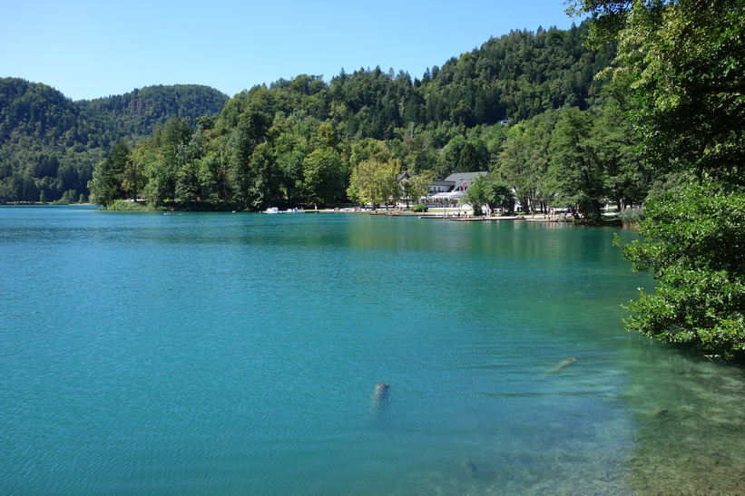 En av flera badplatser längs Lake Bled, Bled.