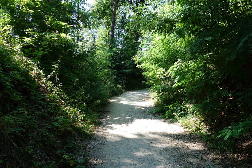 Park Tivoli, Ljubljana.