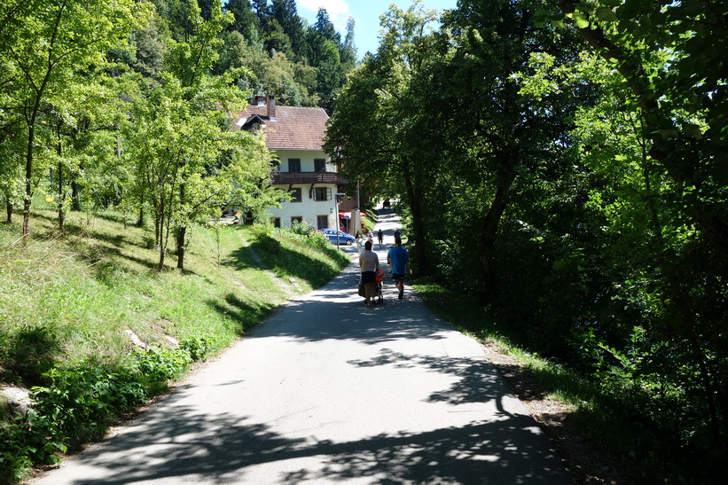 Cykel- och gångvägen runt Lake Bled.