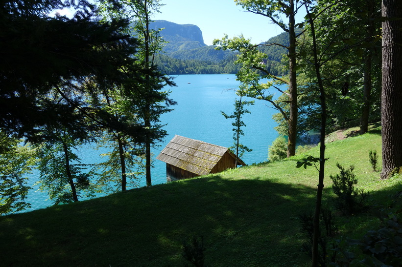 Utsikt över en del av Lake Bled, Bled.