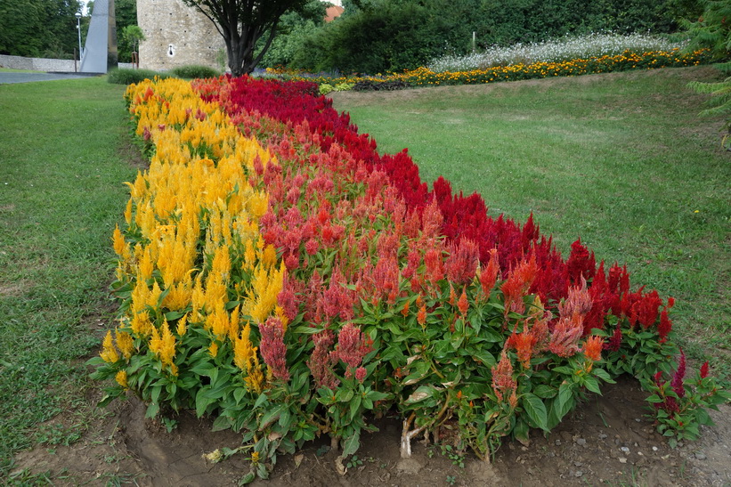 Barbican garden, Pécs.