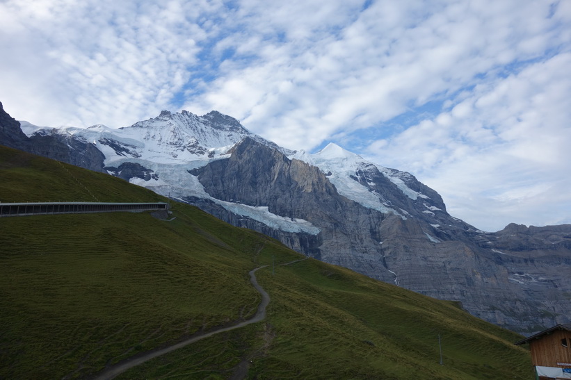 Utsikten från tåget mellan station Kleine Scheidegg (2061 m.ö.h.) och station Eigergletscher (2320 m.ö.h.). Den helvita bergstoppen till höger i bild är Silberhorn (3695 m.ö.h.).