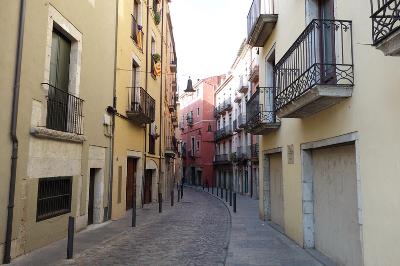Gata i centrala Girona.