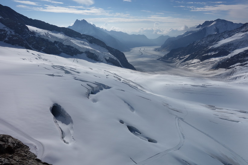 Mäktiga Grosser Aletschgletscher, alpernas längsta glaciär sedd från Sphinx-terrassen, Jungfraujoch.