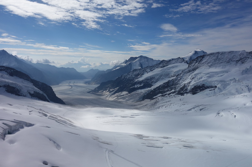 Mäktiga Grosser Aletschgletscher, alpernas längsta glaciär sedd från Sphinx-terrassen, Jungfraujoch.
