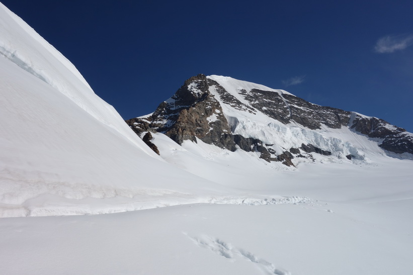 Vy under promenaden från Jungfraujoch till Mönchsjochhütte.