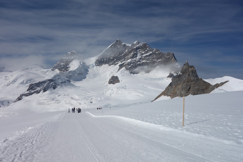 Vy under promenaden från Jungfraujoch till Mönchsjochhütte.