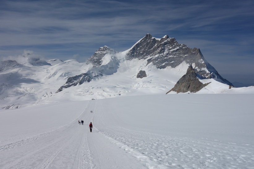 Vy under promenaden från Jungfraujoch till Mönchsjochhütte.