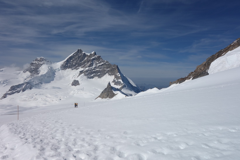 Vy under promenaden från Jungfraujoch till Mönchsjochhütte.