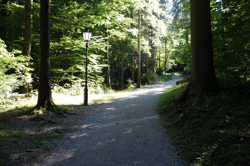 På väg upp till Uetliberg, Zürich.