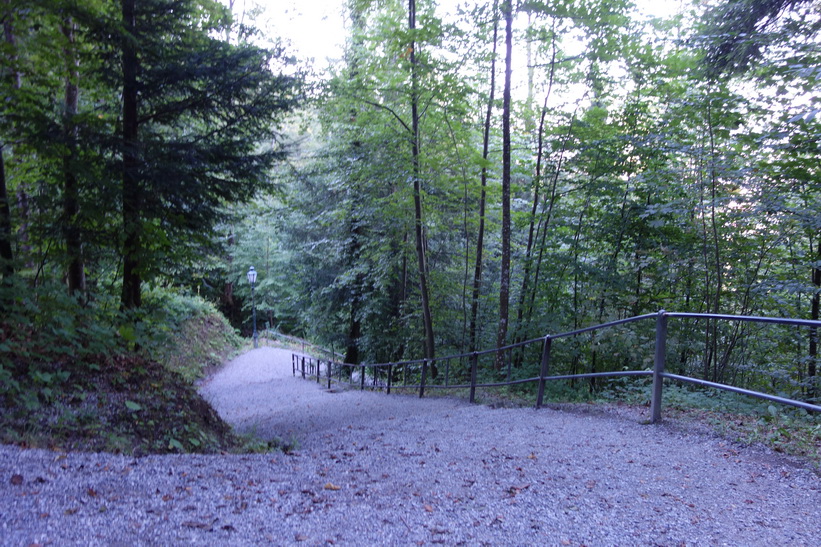 På väg upp till Uetliberg, Zürich.