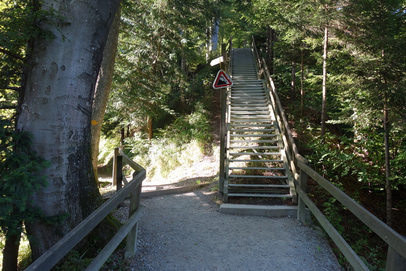 På väg upp till Uetliberg, Zürich.