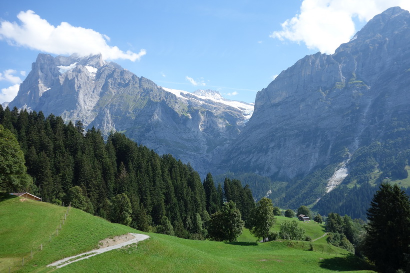 Utsikten från liftkorgen på väg upp mot First från Grindelwald.