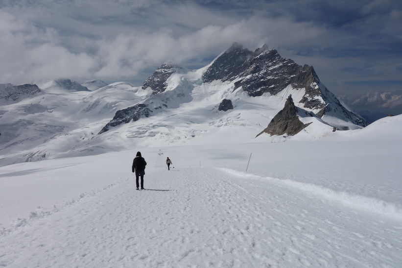 Vy under promenaden från Mönchsjochhütte tillbaka ner till Jungfraujoch.