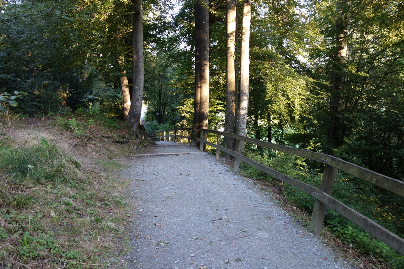 På väg ner från Uetliberg, Zürich.