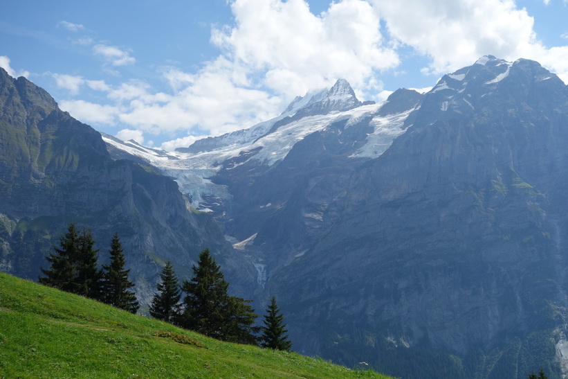 Utsikten från liftkorgen på väg upp mot First från Grindelwald.