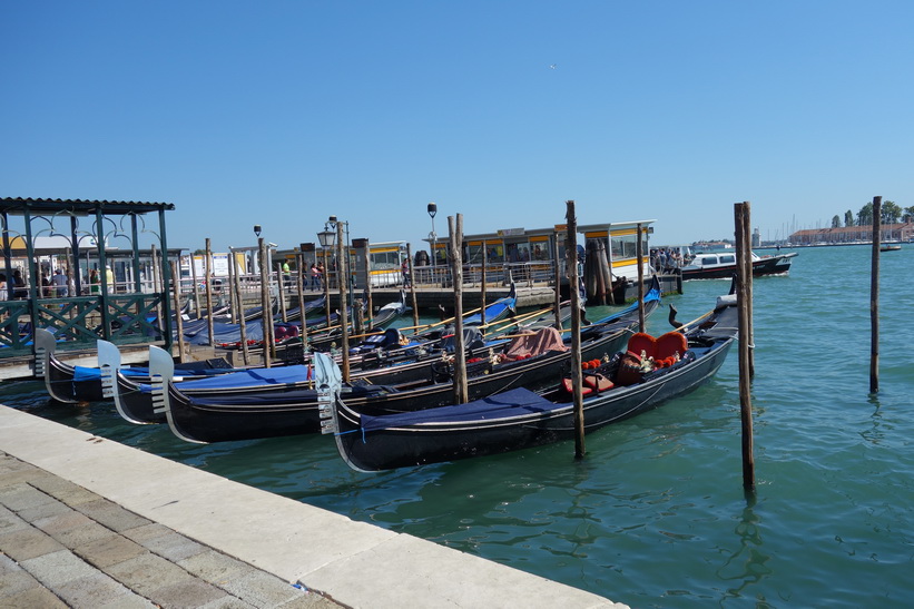 Gondoler längs gatan Riva degli Schiavoni, Venedig.