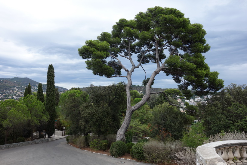 Parc de la Colline du Château, Castle Hill, Nice.