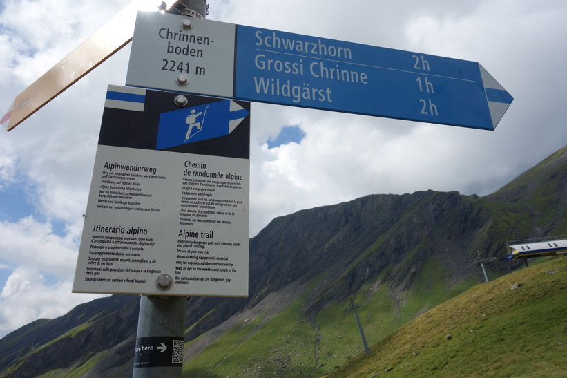 13-grindelwald_d2