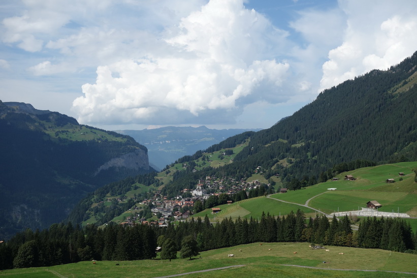 Vy från tåget på sträckan Kleine Scheidegg-Lauterbrunnen.