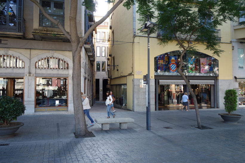 Gatuscen i centrala Girona.
