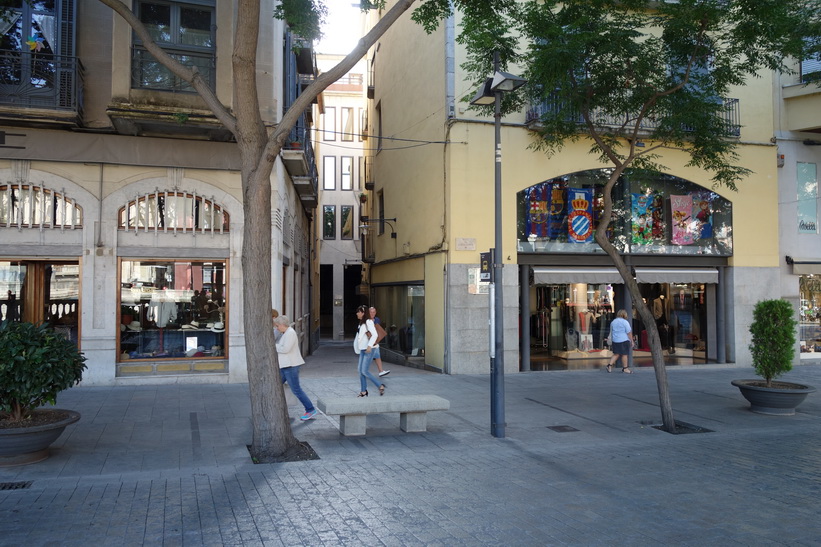 Gatuscen i centrala Girona.