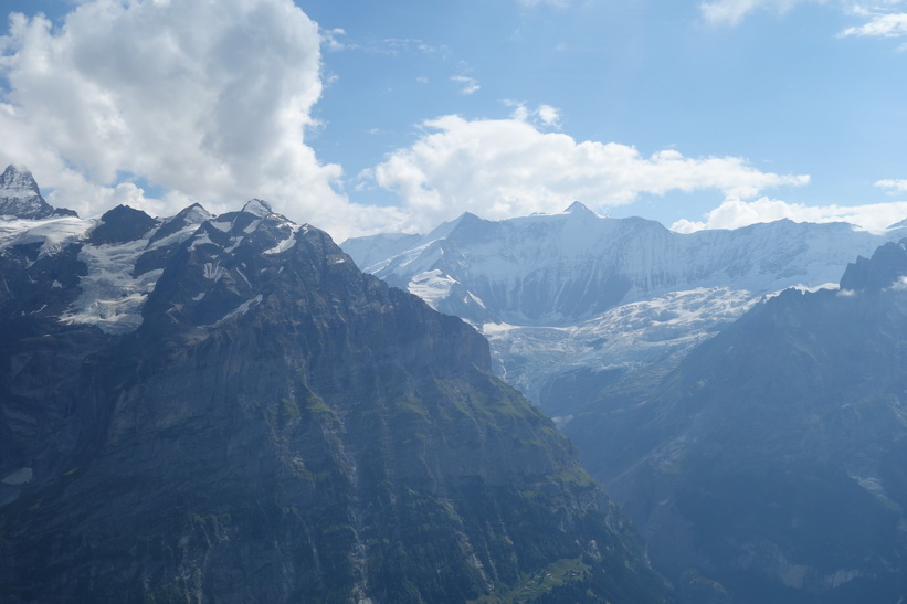 Utsikten mot Wetterhorn till vänster i bild från First.