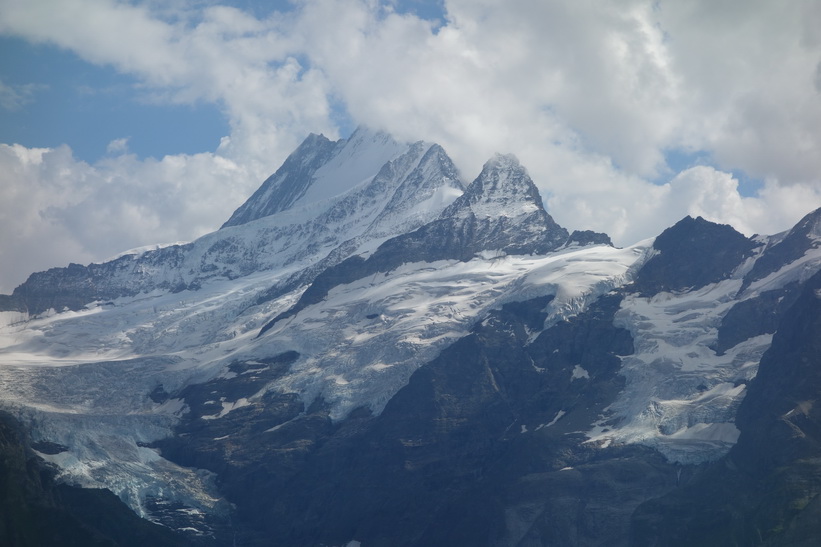 Utsikten mot Schreckhorn från First.