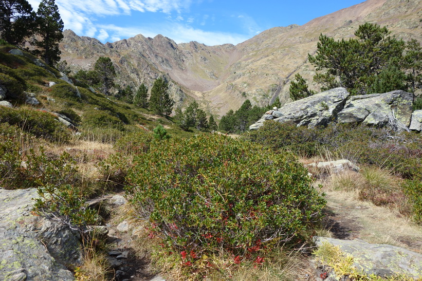 Vandring från Refugio de Coma Pedrosa upp till Black Lake.