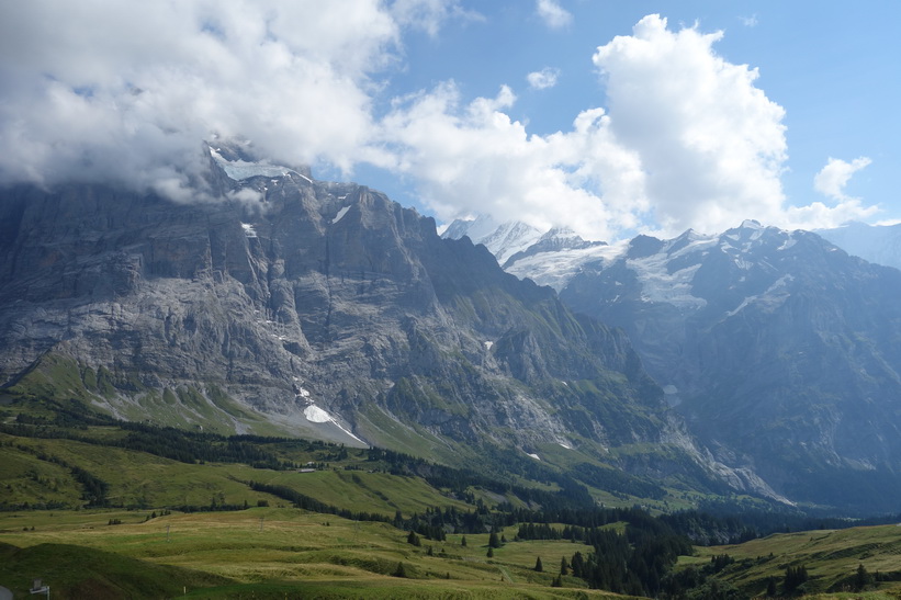 39-grindelwald_d2