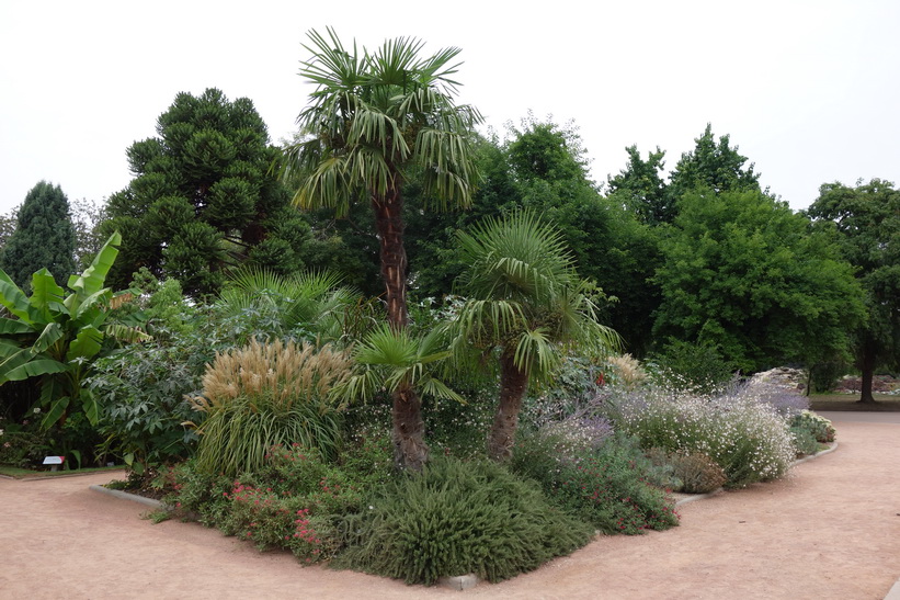 Lyon Botanical Garden, Lyon.