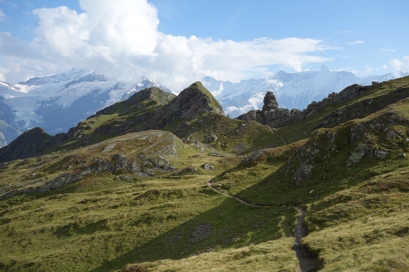 Den långa vandringen från Bachsee (2265 m.ö.h.) hela vägen ner till Grindelwald (1034 m.ö.h.).