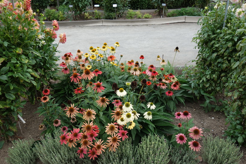 Lyon Botanical Garden, Lyon.