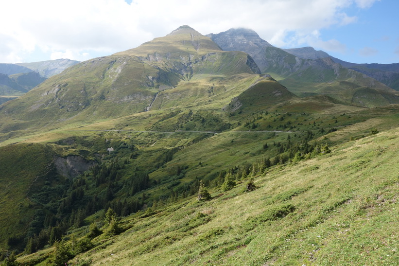 46-grindelwald_d2