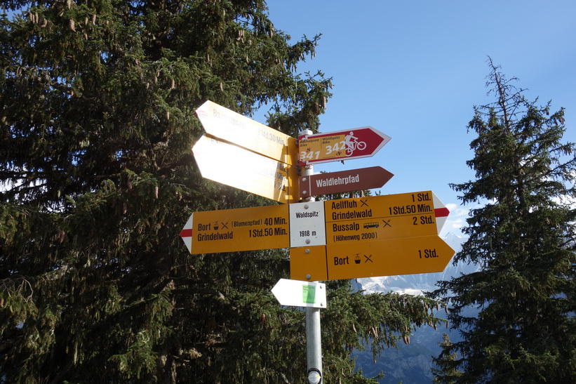 Den långa vandringen från Bachsee (2265 m.ö.h.) hela vägen ner till Grindelwald (1034 m.ö.h.).