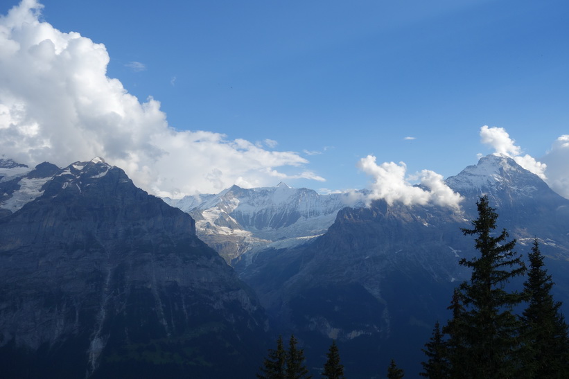 Den långa vandringen från Bachsee (2265 m.ö.h.) hela vägen ner till Grindelwald (1034 m.ö.h.).