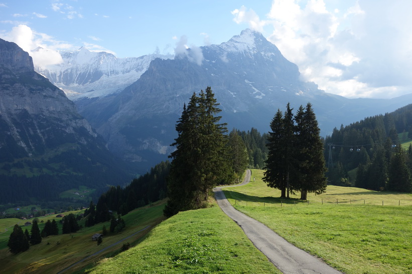 Mäktiga Eiger dominerar landskapet. Den långa vandringen från Bachsee (2265 m.ö.h.) hela vägen ner till Grindelwald (1034 m.ö.h.).