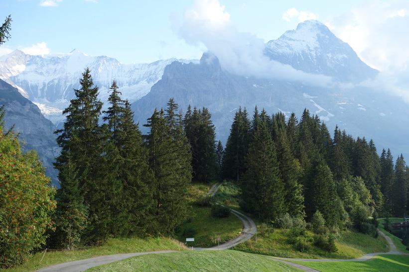 Mäktiga Eiger dominerar landskapet. Den långa vandringen från Bachsee (2265 m.ö.h.) hela vägen ner till Grindelwald (1034 m.ö.h.).